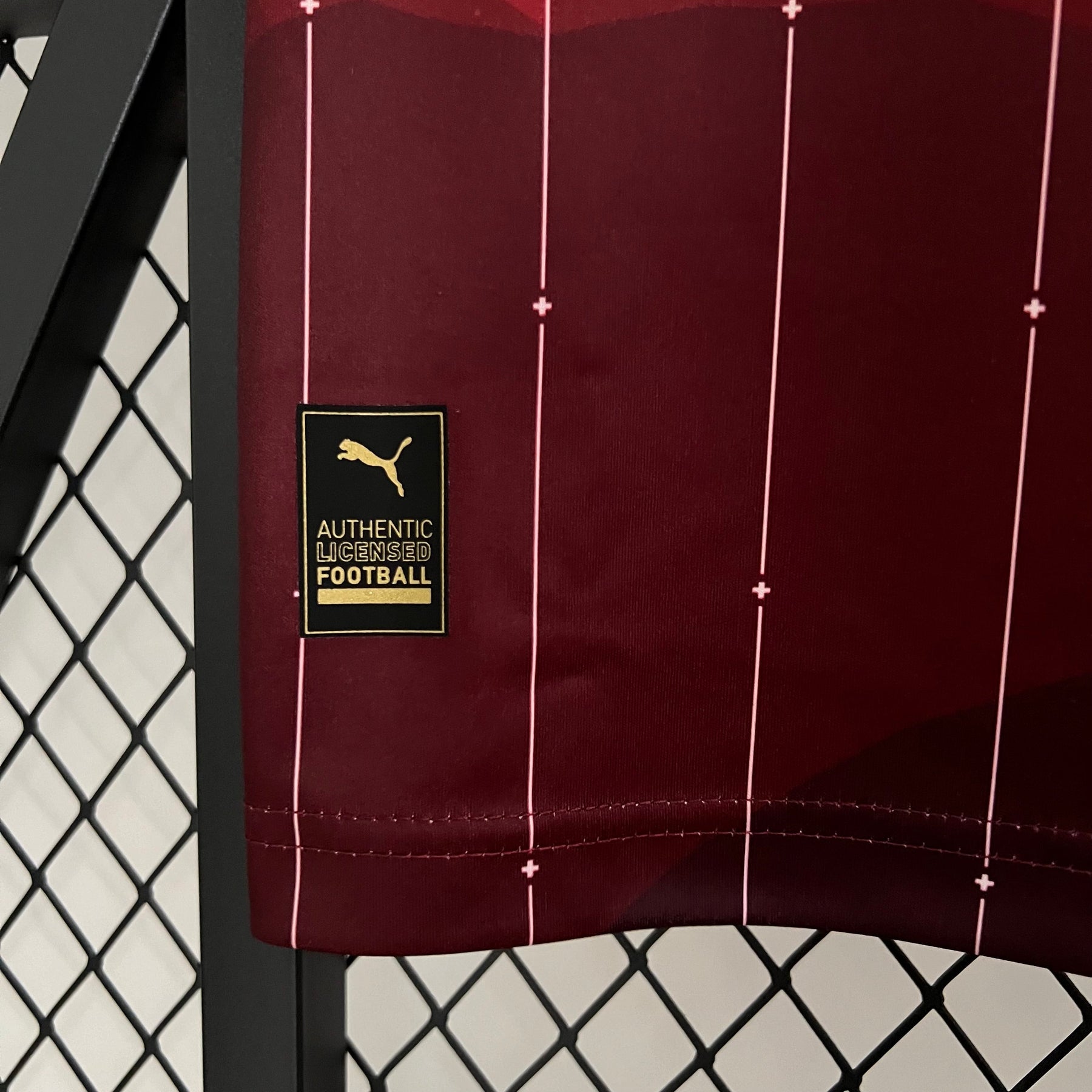 Camisa Suíça Home 2024/25 - Puma Torcedor Masculina - Vermelha