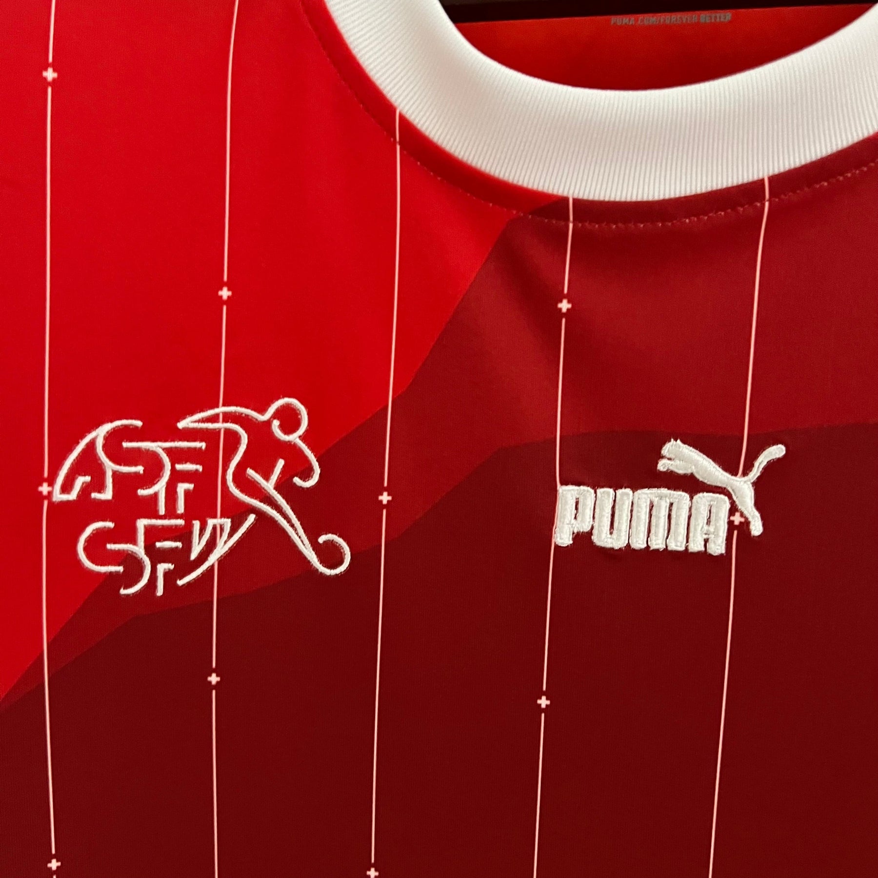 Camisa Suíça Home 2024/25 - Puma Torcedor Masculina - Vermelha